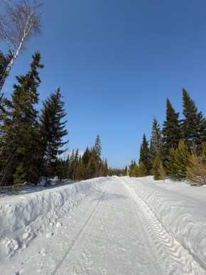 ДП Родной в Первоуральске - pervouralsk.yutvil.ru - фото 7