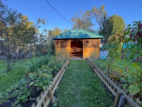 Екатеренбург сад Торгмаш, СНТ  Садовод, уч. 52 в Первоуральске - pervouralsk.yutvil.ru - фото 10