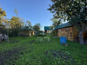 Екатеренбург сад Торгмаш, СНТ  Садовод, уч. 52 в Первоуральске - pervouralsk.yutvil.ru - фото 14