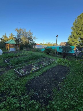 Екатеренбург сад Торгмаш, СНТ  Садовод, уч. 52 в Первоуральске - pervouralsk.yutvil.ru - фото 16
