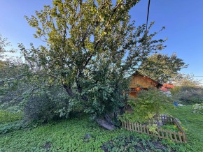 Екатеренбург сад Торгмаш, СНТ  Садовод, уч. 52 в Первоуральске - pervouralsk.yutvil.ru - фото 17