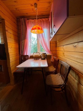 Екатеренбург сад Торгмаш, СНТ  Садовод, уч. 52 в Первоуральске - pervouralsk.yutvil.ru - фото 5