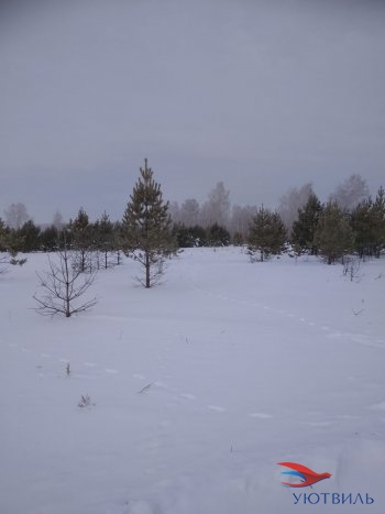 Земельный участок поселок Баженово в Первоуральске - pervouralsk.yutvil.ru - фото 5