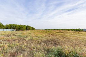 Российская Федерация, Свердловская область, Сысертский городской округ, территория садоводческого некоммерческого товарищества Бобровские дачи, улица Каштановая, земельный участок № 38 в Первоуральске - pervouralsk.yutvil.ru - фото 16