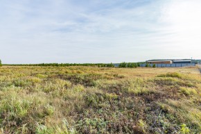 Российская Федерация, Свердловская область, Сысертский городской округ, территория садоводческого некоммерческого товарищества Бобровские дачи, улица Каштановая, земельный участок № 38 в Первоуральске - pervouralsk.yutvil.ru - фото 24