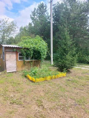 СНТ Родники в Первоуральске - pervouralsk.yutvil.ru - фото 1