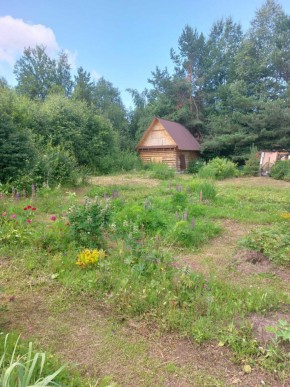 СНТ Родники в Первоуральске - pervouralsk.yutvil.ru - фото 2