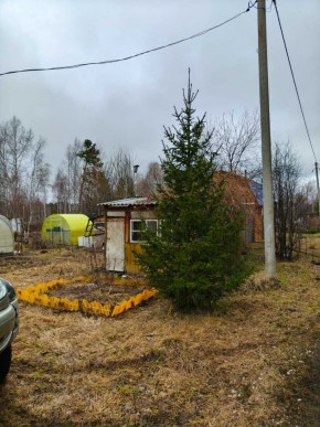 СНТ Родники в Первоуральске - pervouralsk.yutvil.ru - фото 5 СНТ Родники в Первоуральске - pervouralsk.yutvil.ru - фото 5