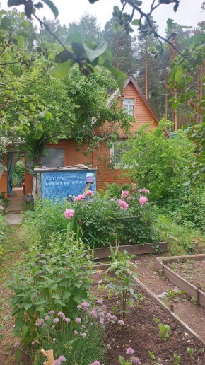 СНТ Садовод-24 в Первоуральске - pervouralsk.yutvil.ru