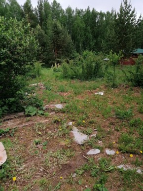 СТН Семья №112, Верхняя пышма на землях бывшего подсобного хозяйтва верхнепышминского опытного завода в Первоуральске - pervouralsk.yutvil.ru - фото 17 СТН Семья №112, Верхняя пышма на землях бывшего подсобного хозяйтва верхнепышминского опытного завода в Первоуральске - pervouralsk.yutvil.ru - фото 17
