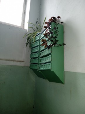 ул. Бажова,11 в Первоуральске - pervouralsk.yutvil.ru - фото 2 ул. Бажова,11 в Первоуральске - pervouralsk.yutvil.ru - фото 2