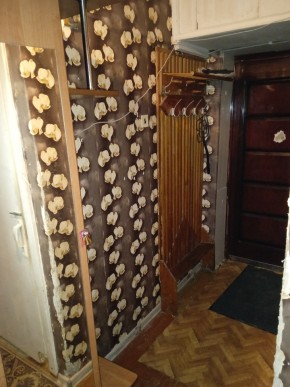 ул. Бажова,11 в Первоуральске - pervouralsk.yutvil.ru - фото 9