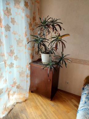 ул. Индустрии,29 в Первоуральске - pervouralsk.yutvil.ru - фото 4 ул. Индустрии,29 в Первоуральске - pervouralsk.yutvil.ru - фото 4