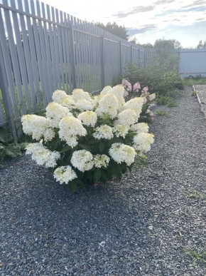 ул. Весенняя,12 в Первоуральске - pervouralsk.yutvil.ru - фото 20